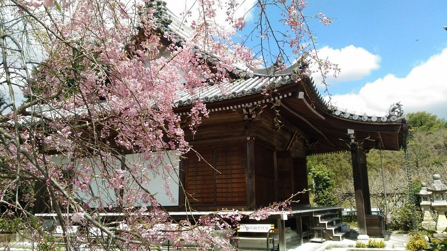 🌸 순산 지장사(코야스지조지) 이미지 1